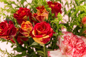 Red multi-headed roses in full bloom