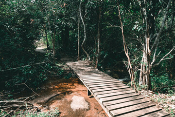 The little wood bridge cross the river in the deep jungle