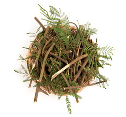 Albizia myriophylla isolated on white background.top view.