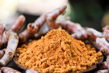 Turmeric or curcuma longa on nature background.