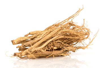 Ginseng or Panax ginseng isolated on white background .
