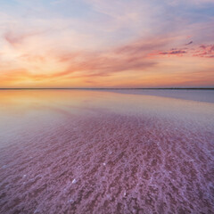 Sunset Genichesk pink  salty lake, Ukraine