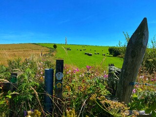 Gateway to a field in Wales.