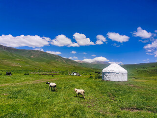 Yurts of mountain farmers in the Kazakhstan mountains, Almaty region.