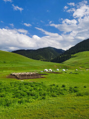 Mountain pasture farm with yurts in Kazakhstan's mountains, Almaty region.