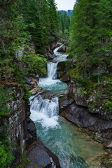 Long waterfall in the woods. Large mountain stream passes between trees in the forest. Attraction...