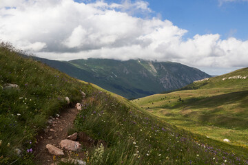 footpath through alpine meadows with flowers in the mountains with clouds on a sunny day