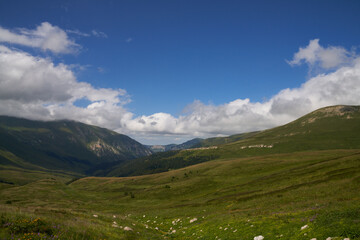 Fototapeta premium alpine meadows with flowers in the mountains with clouds on a sunny day