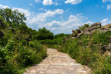 Fototapeta premium path in the park