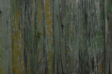 Obraz premium Wooden texture