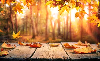 Fotobehang Autumn Table - Orange Leaves And Wooden Plank At Sunset In Forest © Romolo Tavani