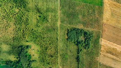 aerial valley field scenic shape geometry view of green grass and trees, background textures concept photography
