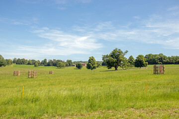 Summertime rural landscape.