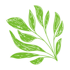 Green leaf sketch. Hand drawn vector illustration. Pen or marker doodle plant
