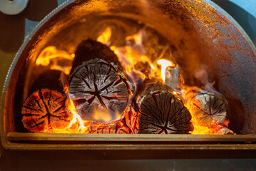 Burning firewood in fire-box of boiler in country cottage.