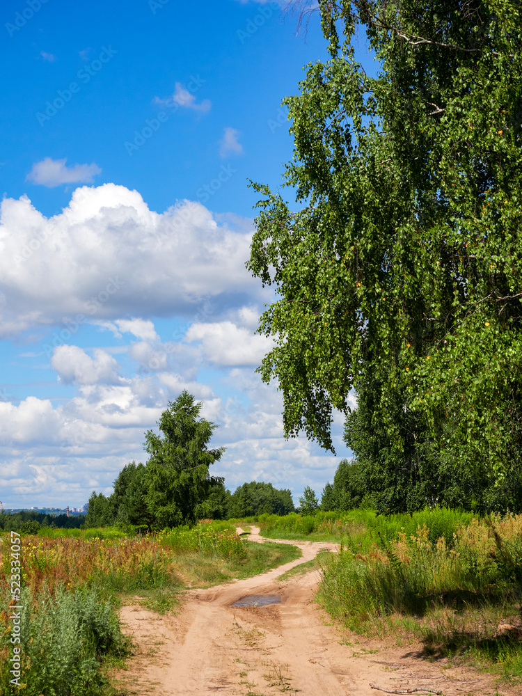 Wall mural Beautiful colorful summer spring natural landscape with a lake in Park surrounded by green foliage of trees in sunlight and stone path in foreground.