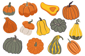 Set of pumpkins of various shapes and colors isolated on a white background. Vector graphics.