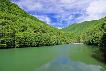 Fototapeta na wymiar 夏の竜ヶ沢ダム湖