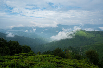 Fototapeta premium countryside landscape with valley in fog behind the forest on the grassy hill. fluffy clouds on a bright blue sky. nature freshness concept. View from Kurseong in morning time. Kurseong, West Bengal.