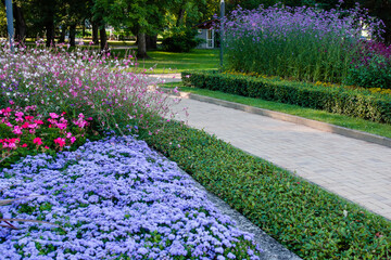 Floral landscaping in city park. Lush flower bed with pink, purple, blue and flowers near pedestrian sidewalk. Modern mixed flower bed in sunny day