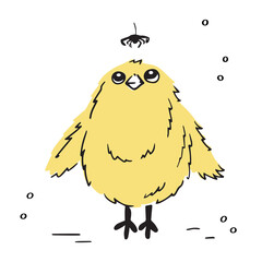 A cute baby chick looks up at the spider in surprise. Hand drawn vector illustration about animal friendship.