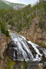 Obraz premium View of Gibbon Falls in Yellowstone National Park