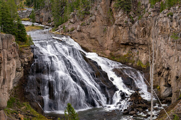 Obraz premium View of Gibbon Falls in Yellowstone National Park