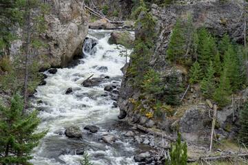 View of the Gibbon River in Yellowstone National Park