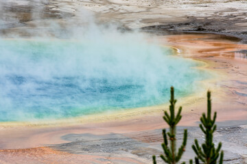 View of the Grand Prismatic Spring in Yellowstone