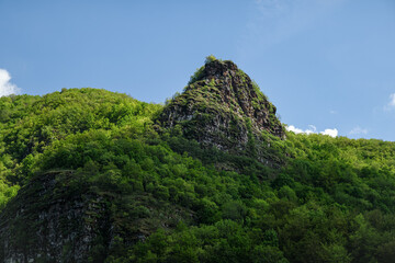 Impressive, pointy, rocky peak covered by vivid green forest lighten by golden light - 523337270
