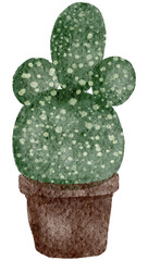 Cactus watercolor with transparent background