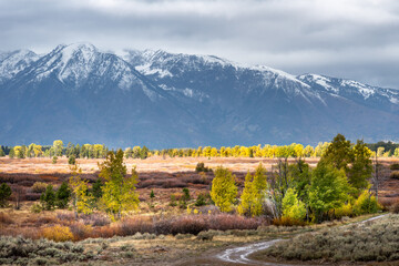 Fototapeta na wymiar Autumn in the Grand Tetons, Wyoming