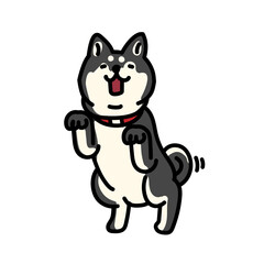 シンプルでかわいい喜ぶ柴犬のイラスト
