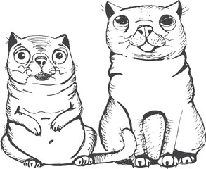 Hand Drawing Cartoon Cats  - 523340698
