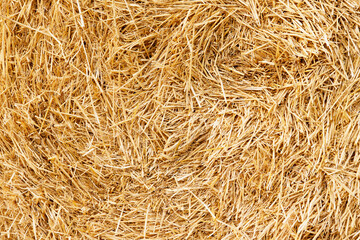 Hay texture. Hay bales are stacked in large stacks. Harvesting in agriculture.