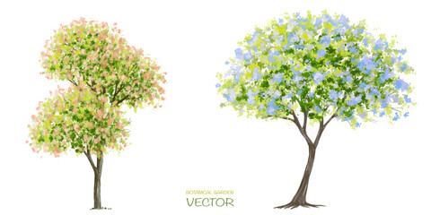 Vector watercolor blooming flower tree side view isolated on white background for landscape and architecture drawing, elements for environment or and garden,botanical elements for section 