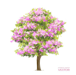 Fototapeta na wymiar Vector watercolor blooming flower tree side view isolated on white background for landscape and architecture drawing, elements for environment or and garden,botanical elements for section 