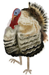 Poultry farming, Watercolor farm animals with transparent background