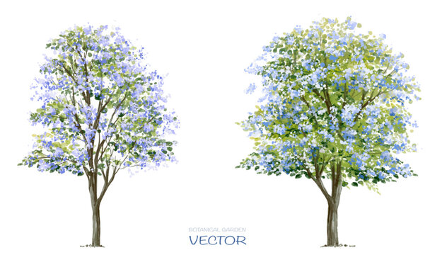 Vector watercolor blooming flower tree side view isolated on white background for landscape and architecture drawing, elements for environment or and garden,botanical elements for section 