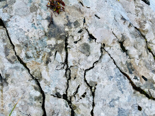 background texture of a cracked and raw rock