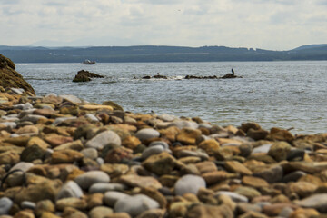 rocky shore and sea