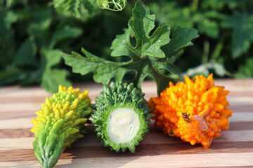 bitter melon stock on farm