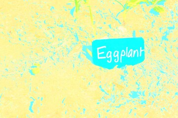 Eggplant written on a garden stake in a colro film negative.