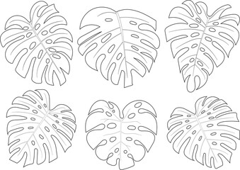 Set Monstera deliciosa Leaf Logo Vector Template Illustration Design PNG