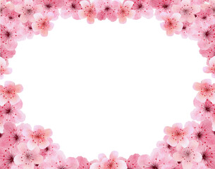 Cherry blossoms watercolor with transparent background