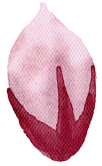 Cherry blossoms watercolor with transparent background