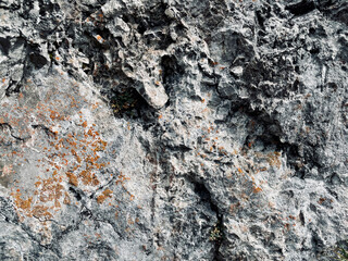 textured rock pattern close-up in macro