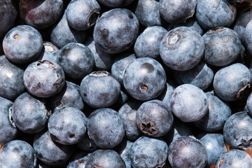 fresh natural blueberries in a bowl, top view, healthy blue berries on the market stall, basket of purple eco berry, organic nutrition, food background