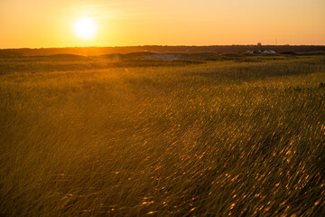 Sunset over State Beach on Martha's Vineyard