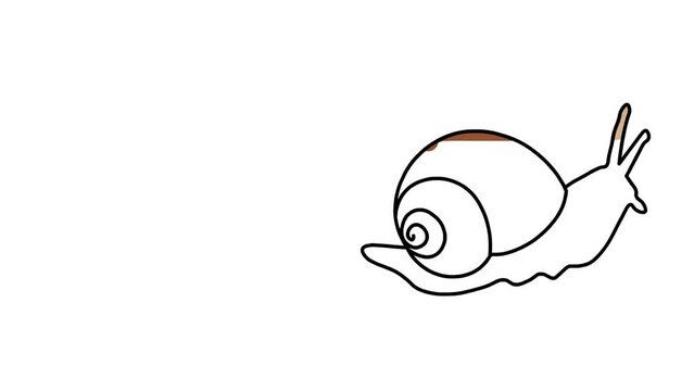 Snails Sketch and 2d animation